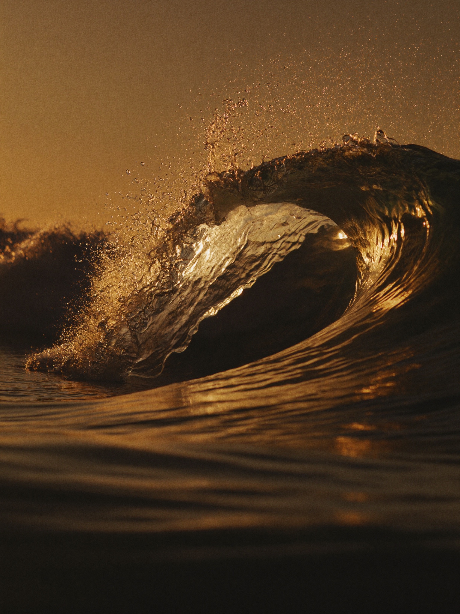 A small wave curling at golden hour, glowing amber through the curl